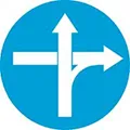 R308b